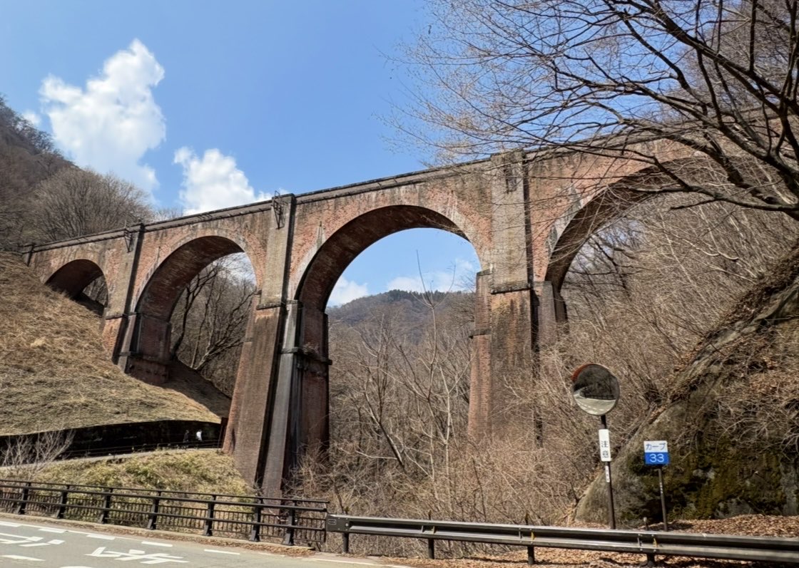 tomo☀️🧄 tweet media