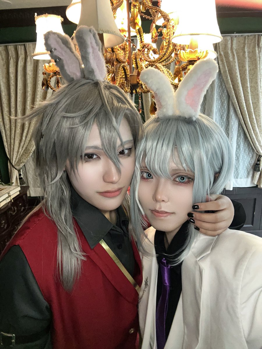 にびの避難先。低浮上 tweet media