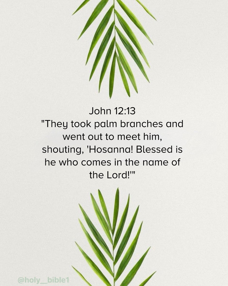 Holy Bible tweet media