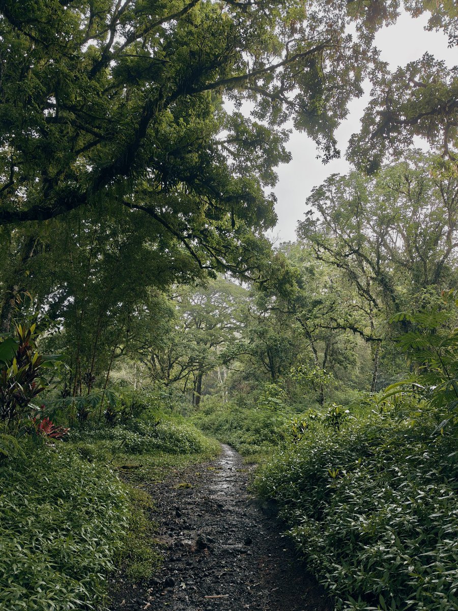 愛我 | メガネ! tweet media