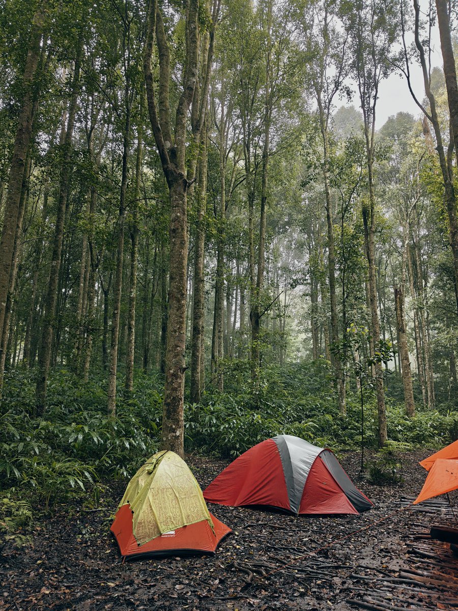 愛我 | メガネ! tweet media