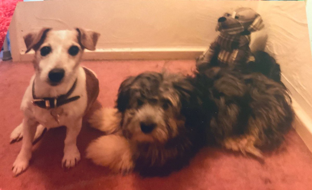 Sam Reed tweet media