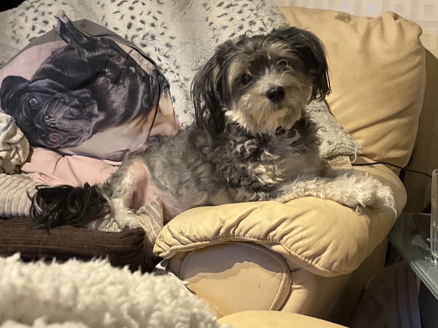 Sam Reed tweet media