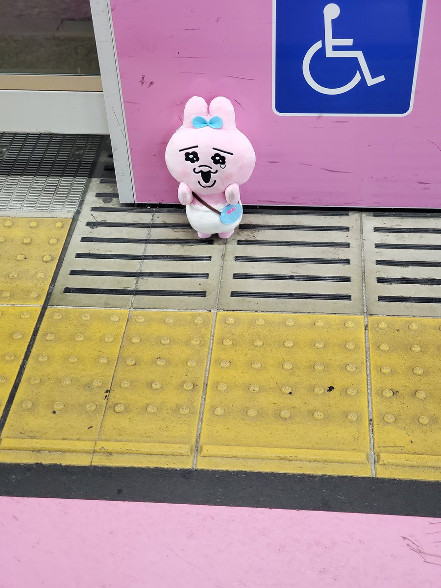 hitoumi_viola's tweet photo. JR浜松町駅山手線側に、おぱんちゅうさぎが、、、
誰かの落とし物かな💦 https://t.co/nD50mNoHZr