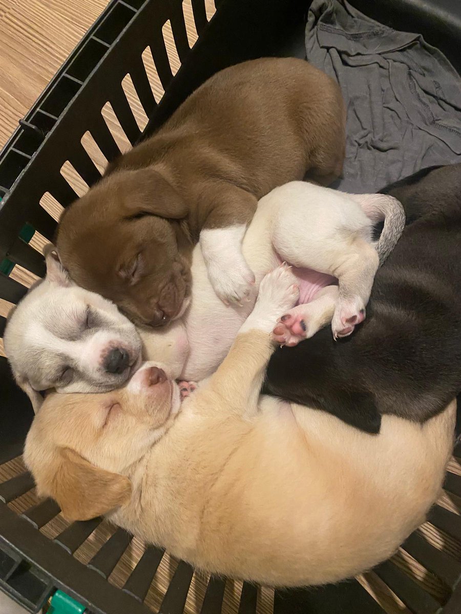 OykuBaobap MESEMLER KAPATILSIN tweet media