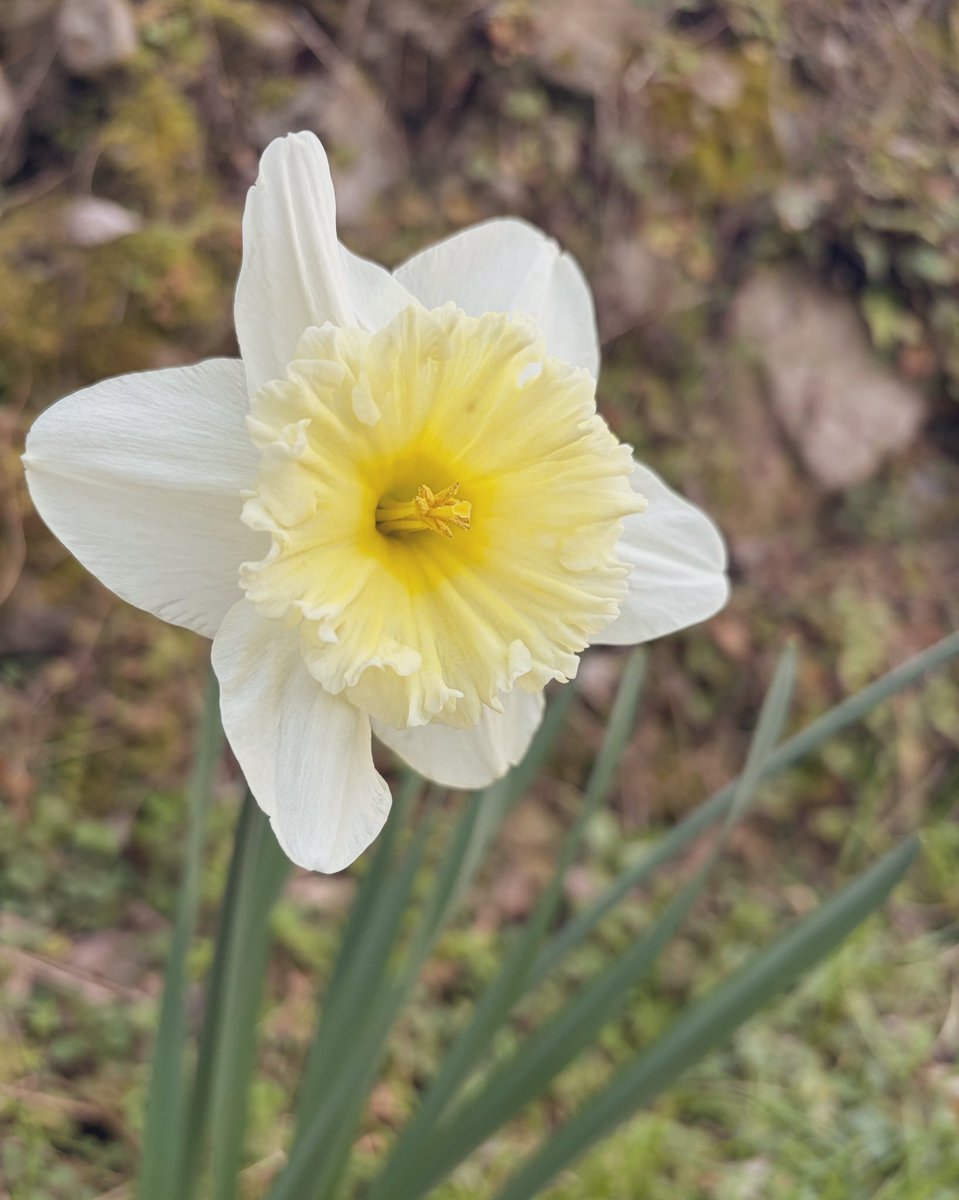 にゃち tweet media