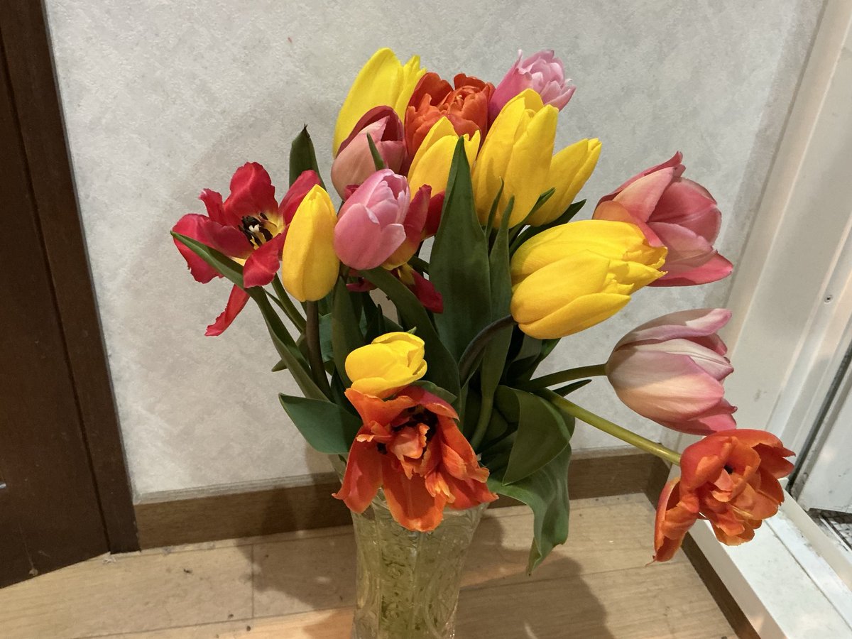 福島みずほ　参議院議員　社民党党首 tweet media