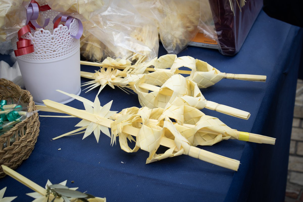 Esther Díez Valero 🌴 tweet media