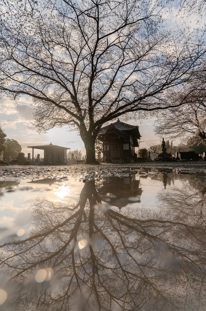 YOuSUKE_photo@NATURE4th 4/23-26 tweet media