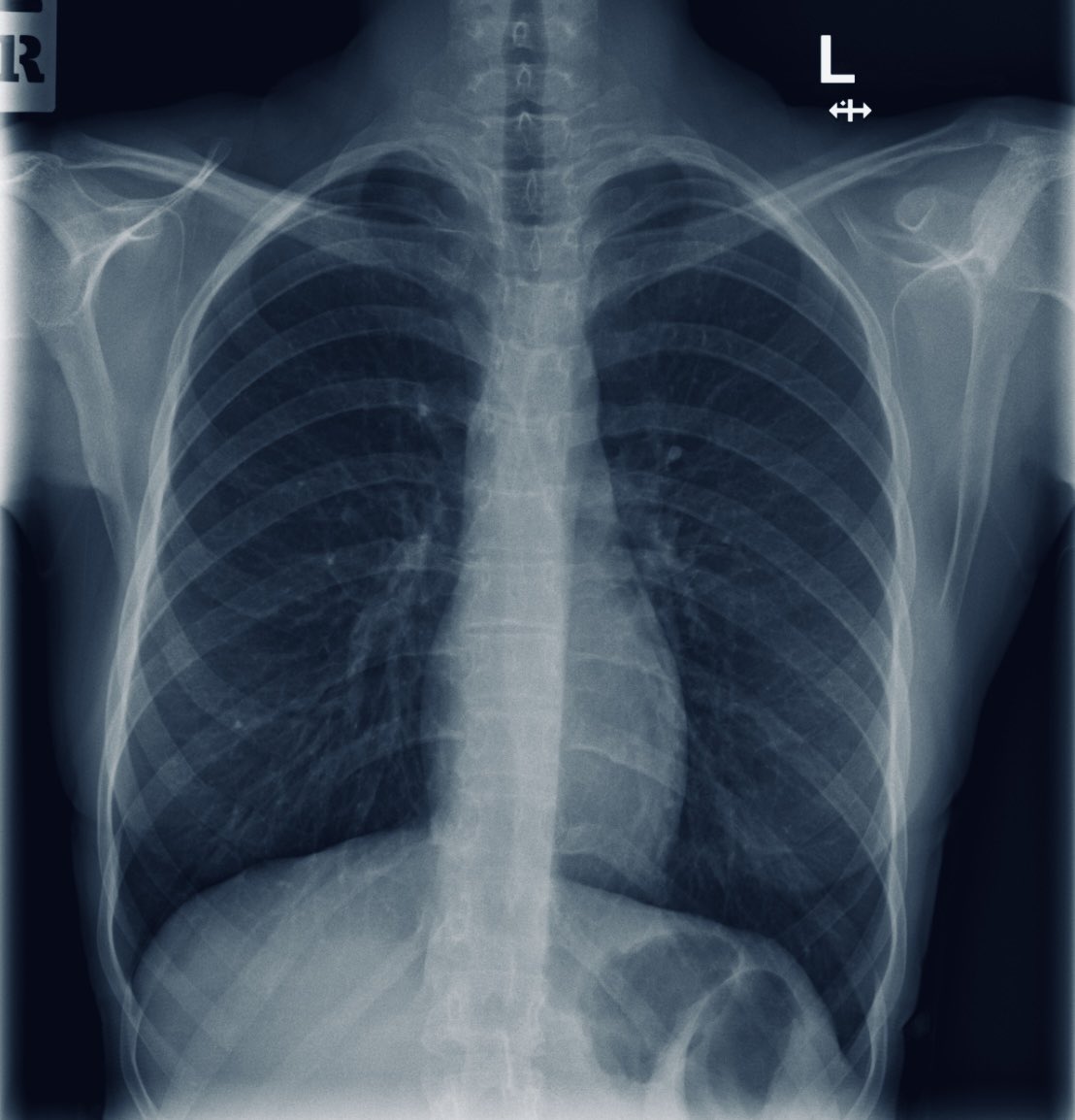 ✿︎๋࣭ Lilaila Nine tweet media