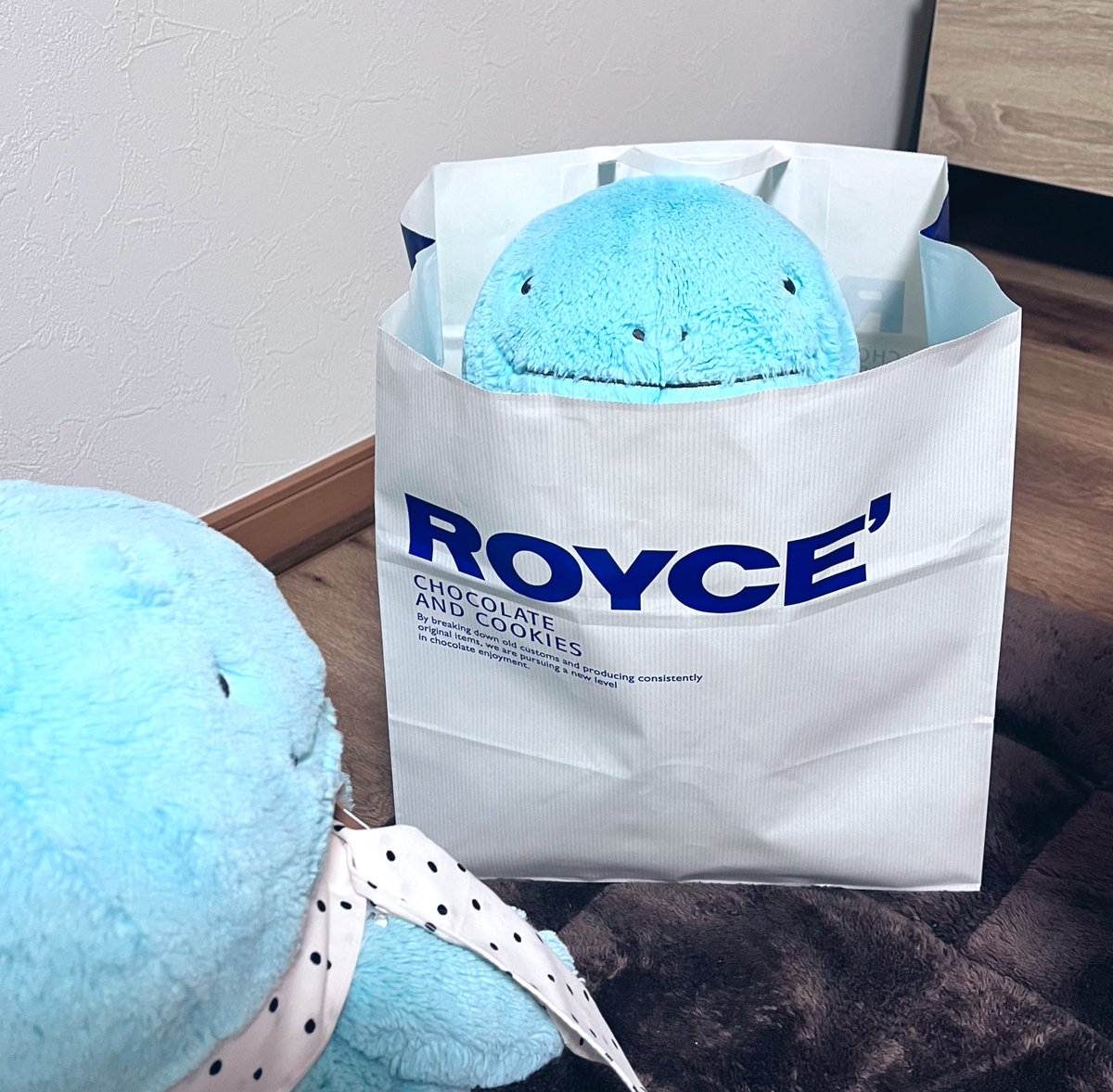 かぬお tweet media