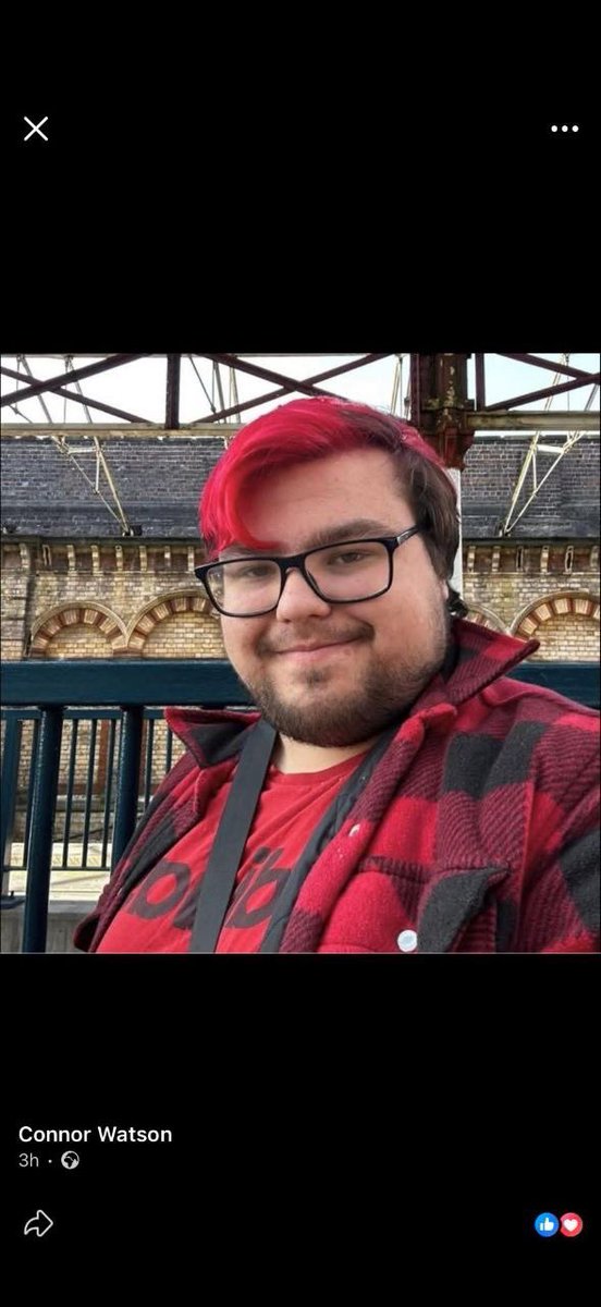 Native Voice tweet media