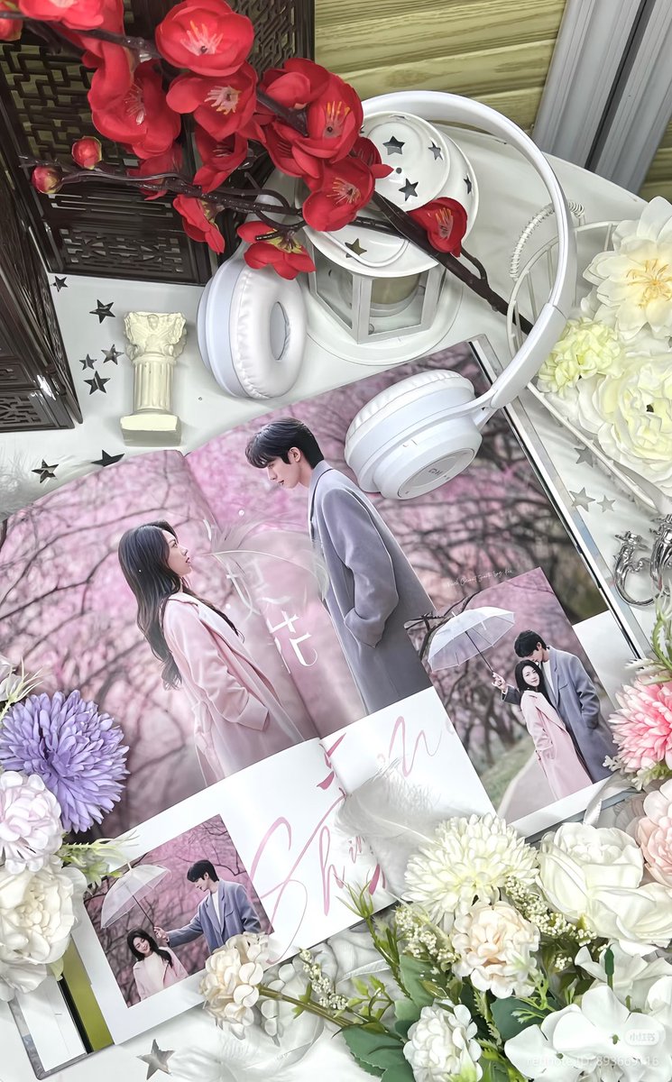 兔兔🐰 tweet media