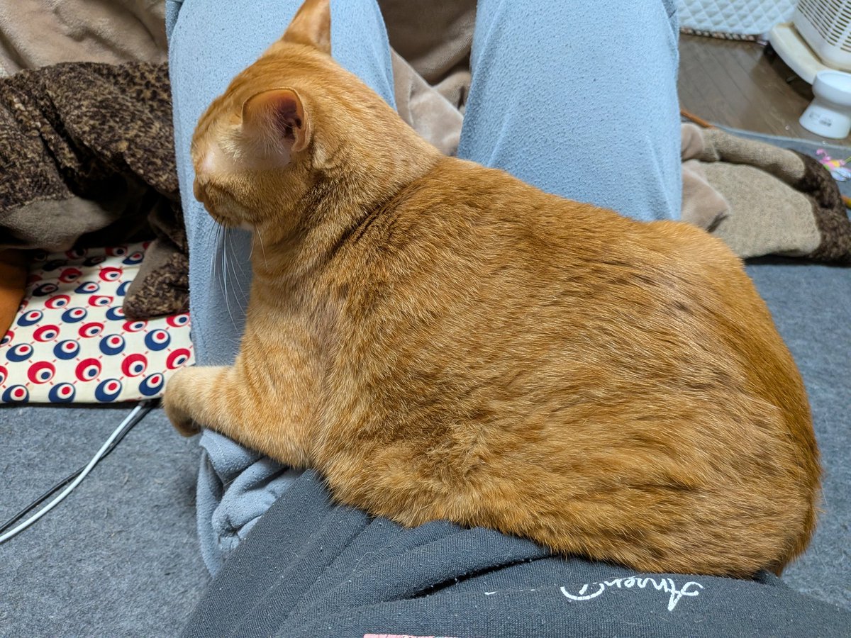 mooning-nasu tweet media