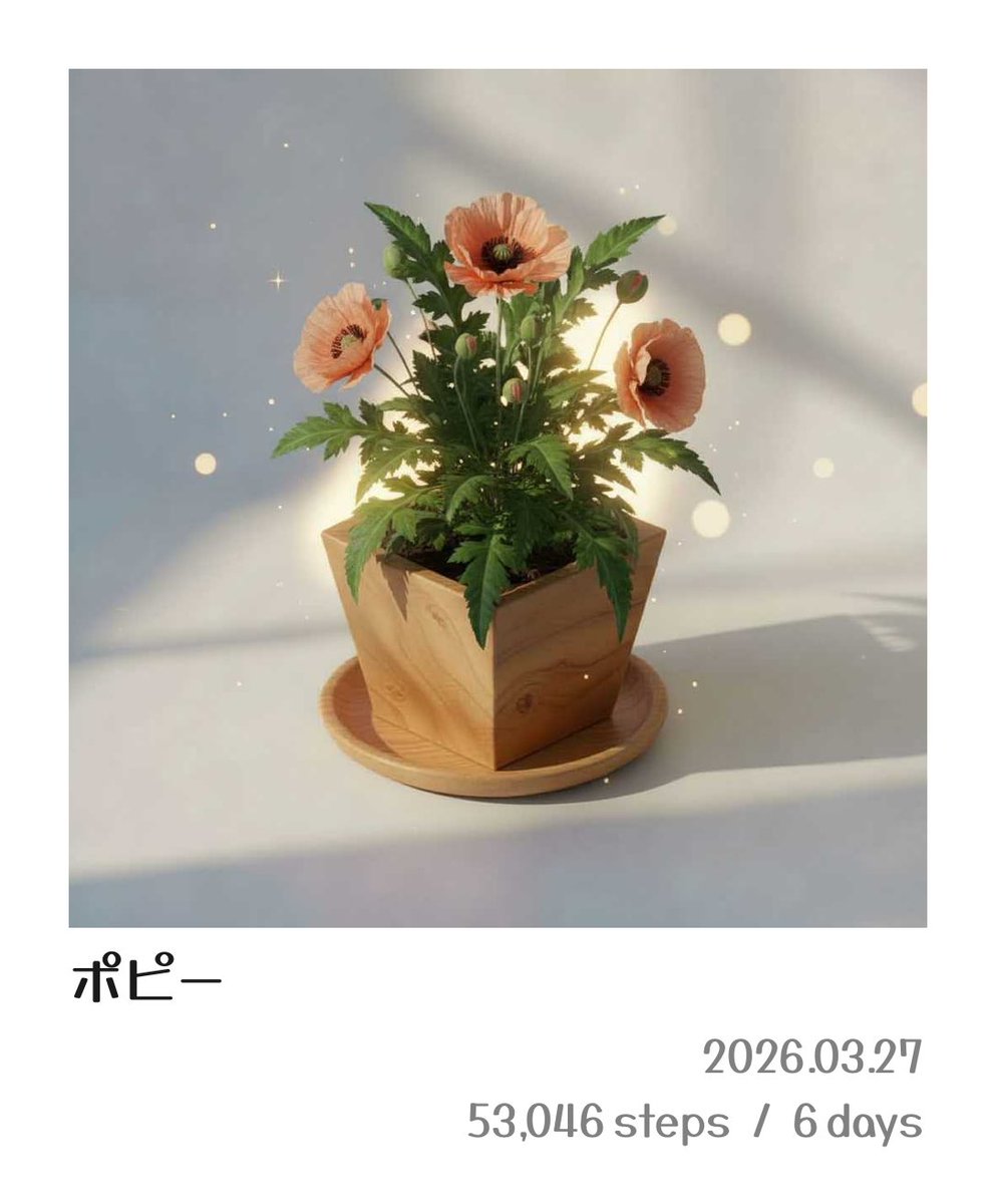 ねこほうママ tweet media