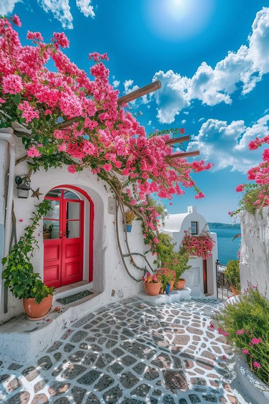 Nikol🌹💕🌹 tweet media