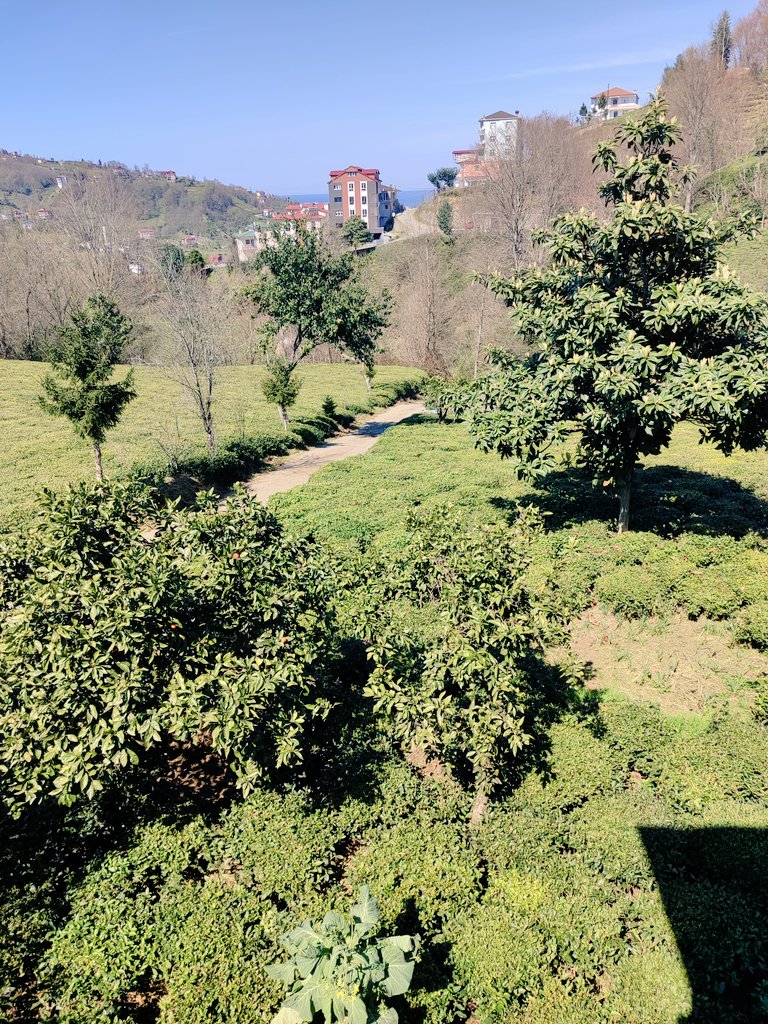 umut BOZKURT tweet media