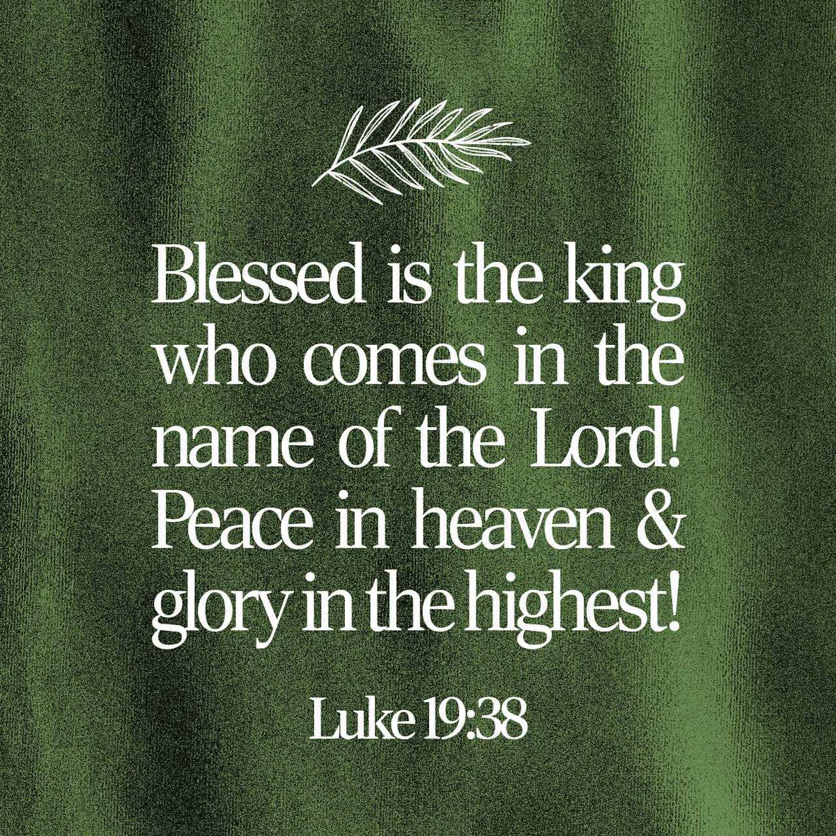 bible.com/verse-of-the-d…