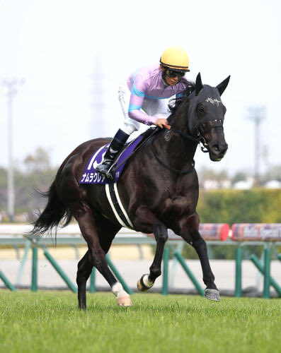 🫏29日　中京G1 高松宮記念、11度目のG1挑戦がラストランとなった浜中俊騎手騎乗🫏ナムラクレア号（牝7）は6着😂😹後方から脚を伸ばしたものの上位には届かず、悲願のG1制覇はなりませんでしたが、お疲れ様でした👍　#ナムラクレア　#浜中俊騎手　#高松宮記念