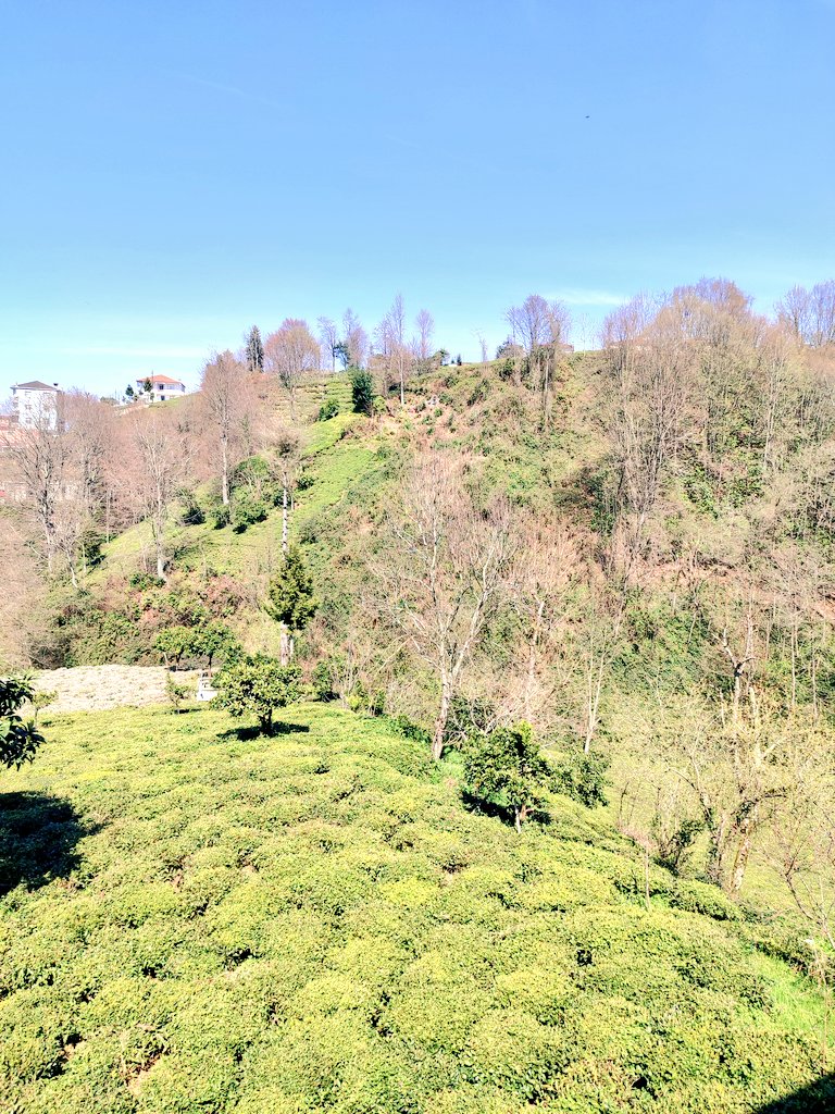 umut BOZKURT tweet media