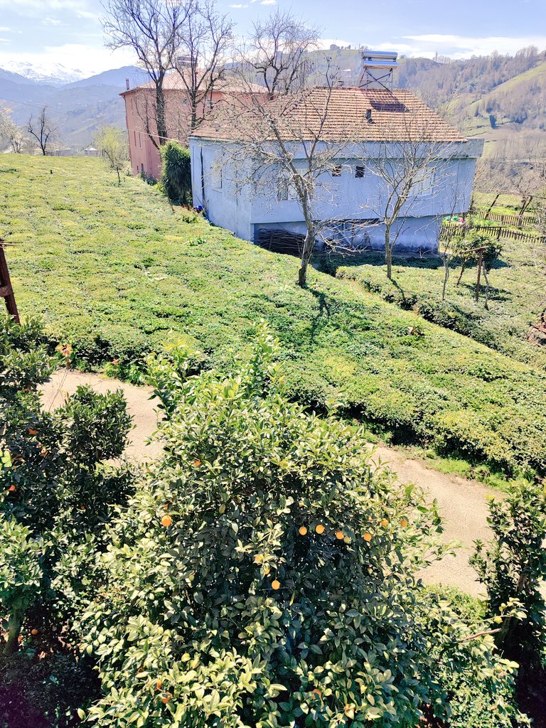 umut BOZKURT tweet media