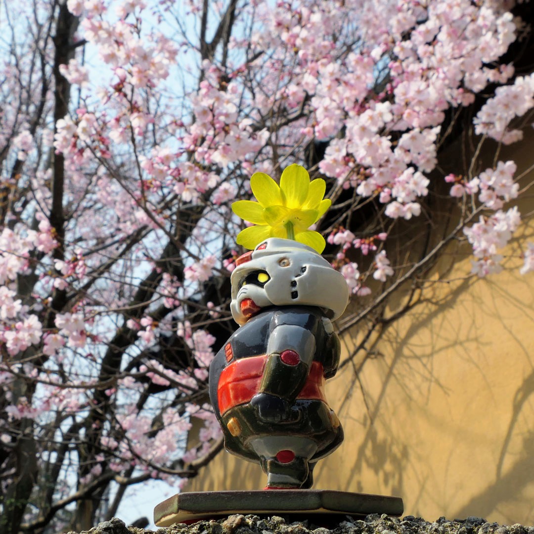 セラミミック tweet media