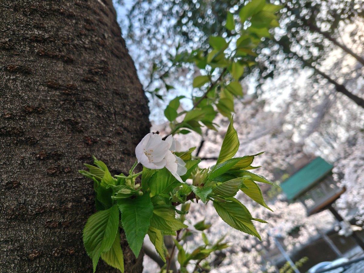 ながともユウ⇄永友優🐾 tweet media