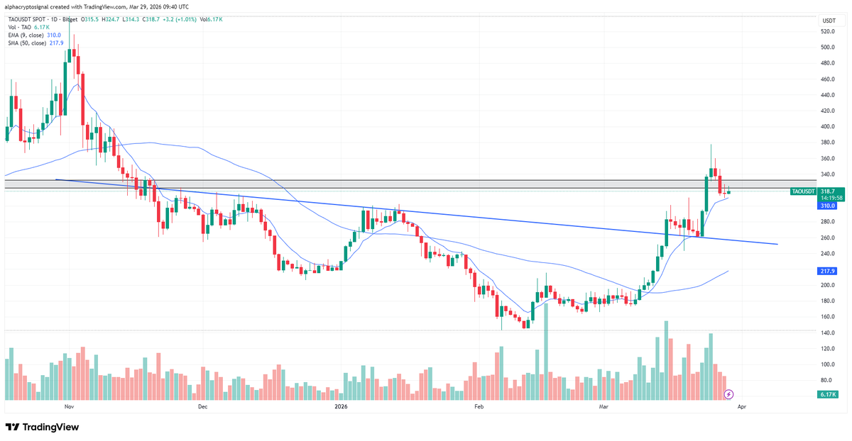Alpha Crypto Signal tweet media