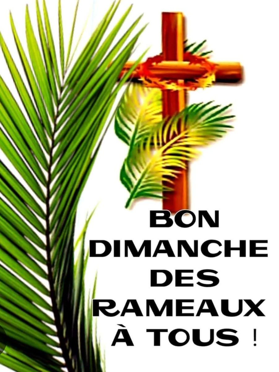 milfbbw79 0,8 tweet media