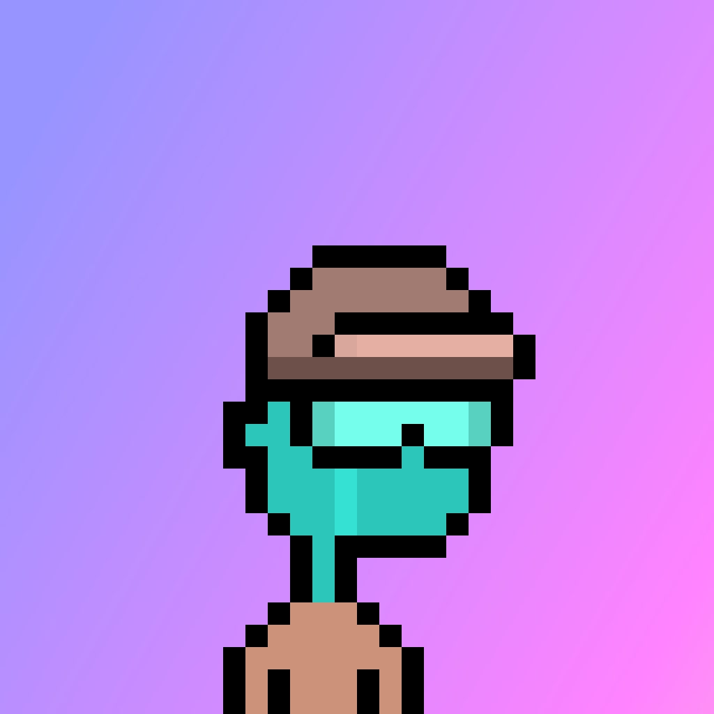 No-Punks tweet media