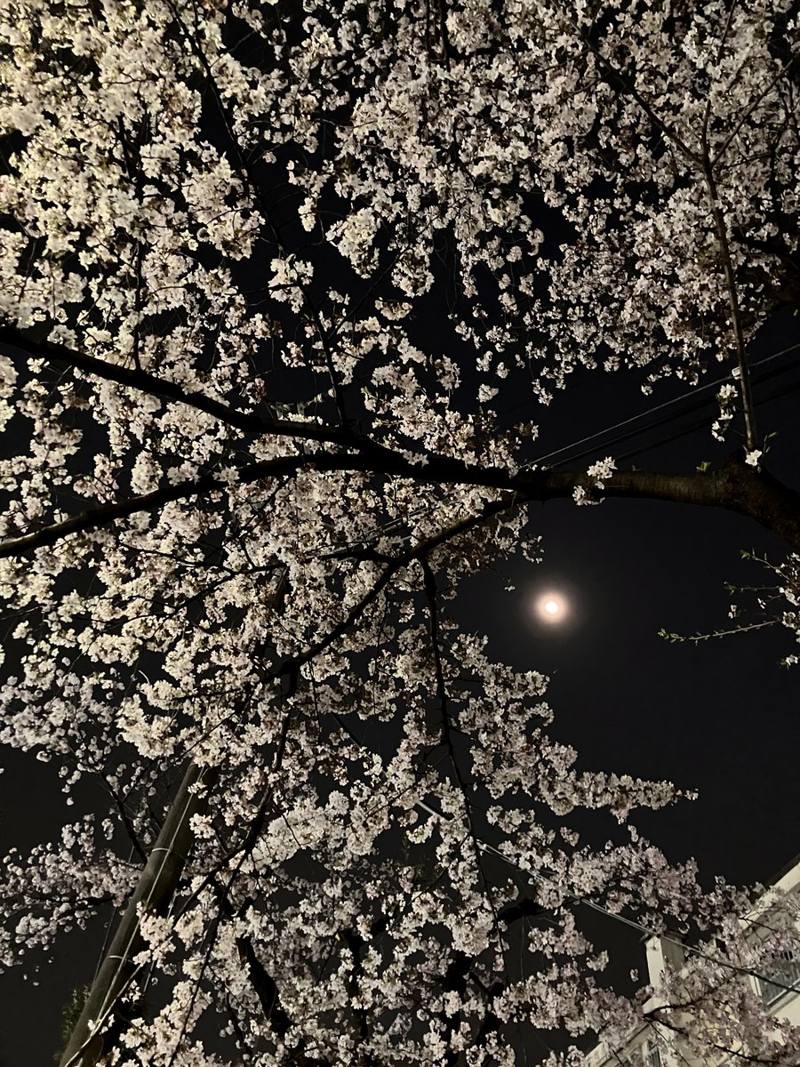 aes1500 🇺🇦 （誤同定マスター） tweet media