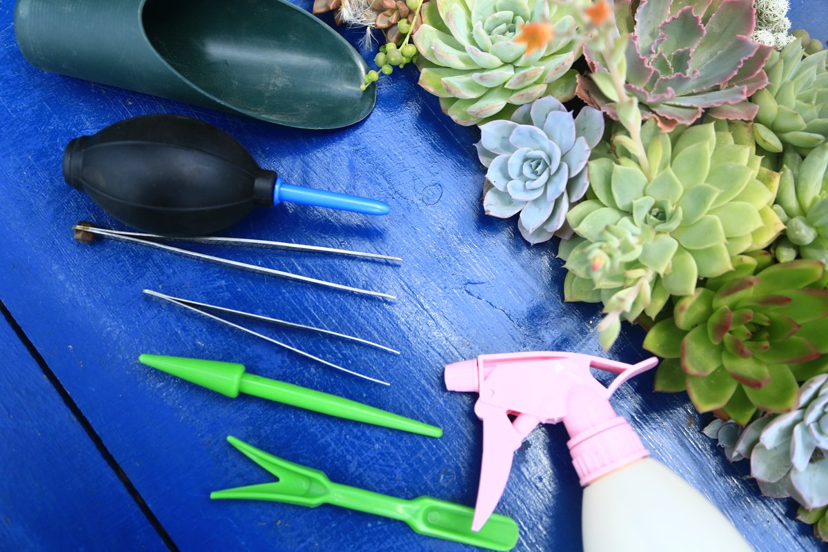 Amanda Crosbie tweet media