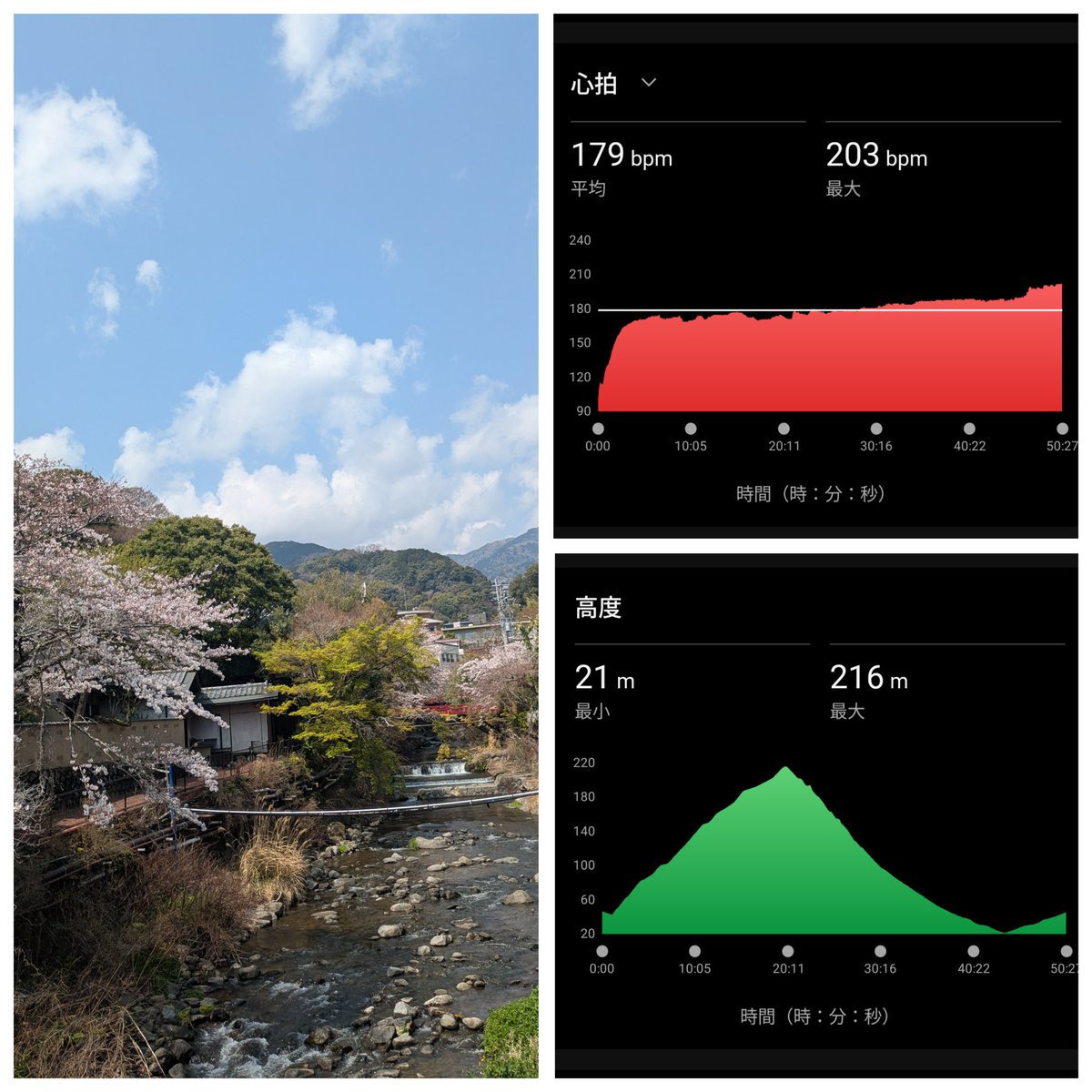 にしむつ tweet media