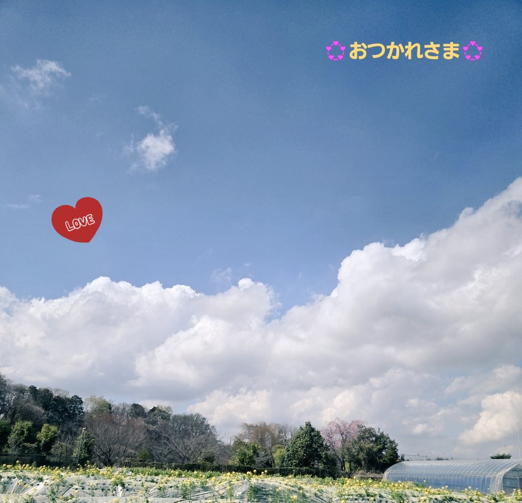 高橋美紀　声優🎙💕 tweet media