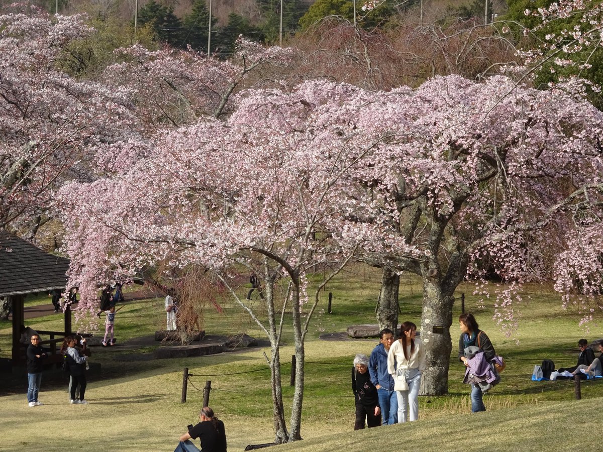 もづる tweet media