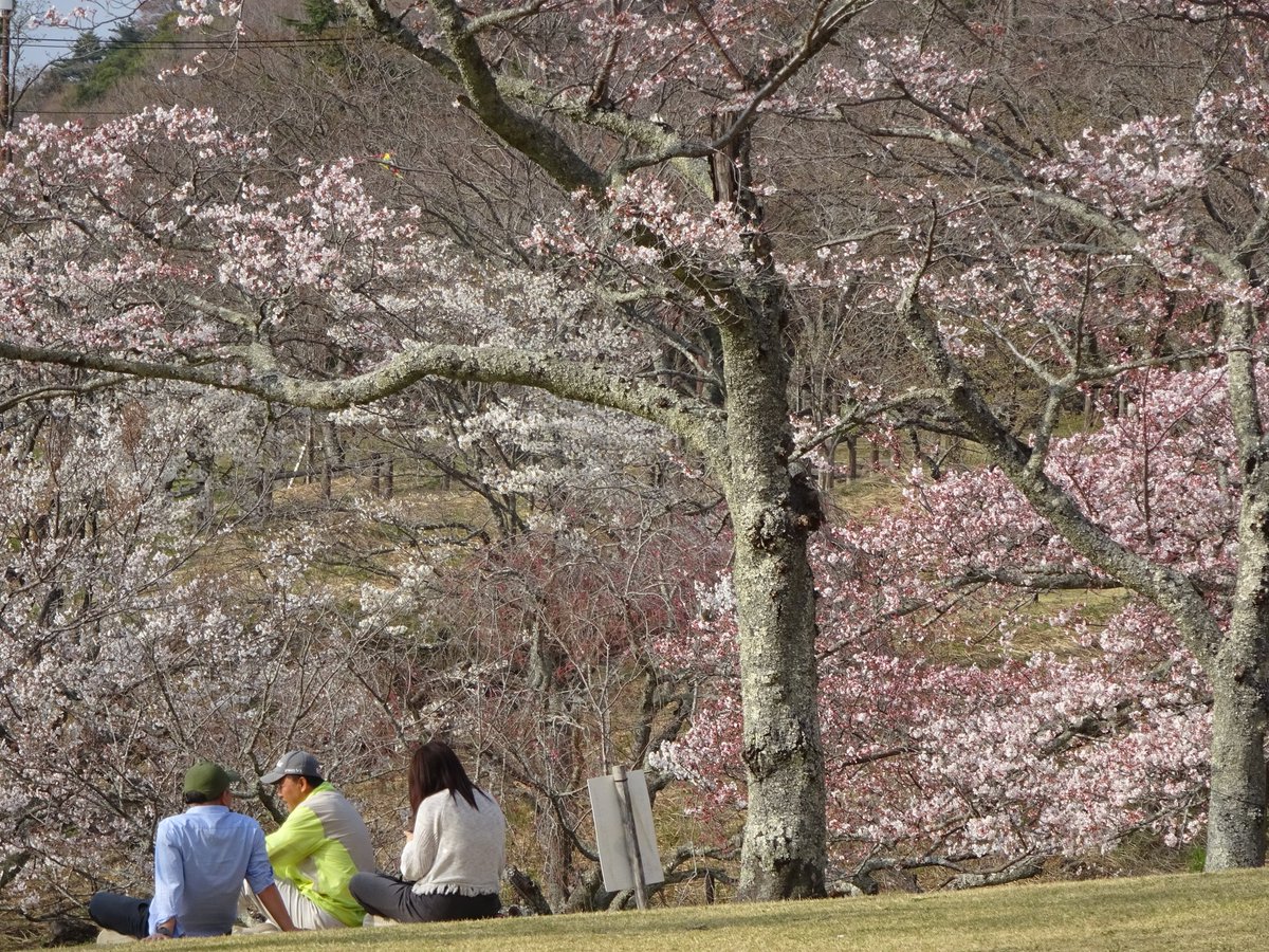 もづる tweet media