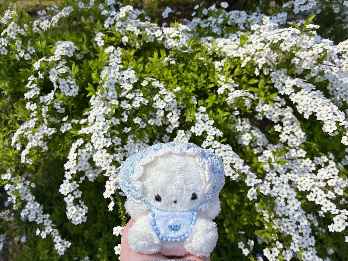 ちいも。 tweet media