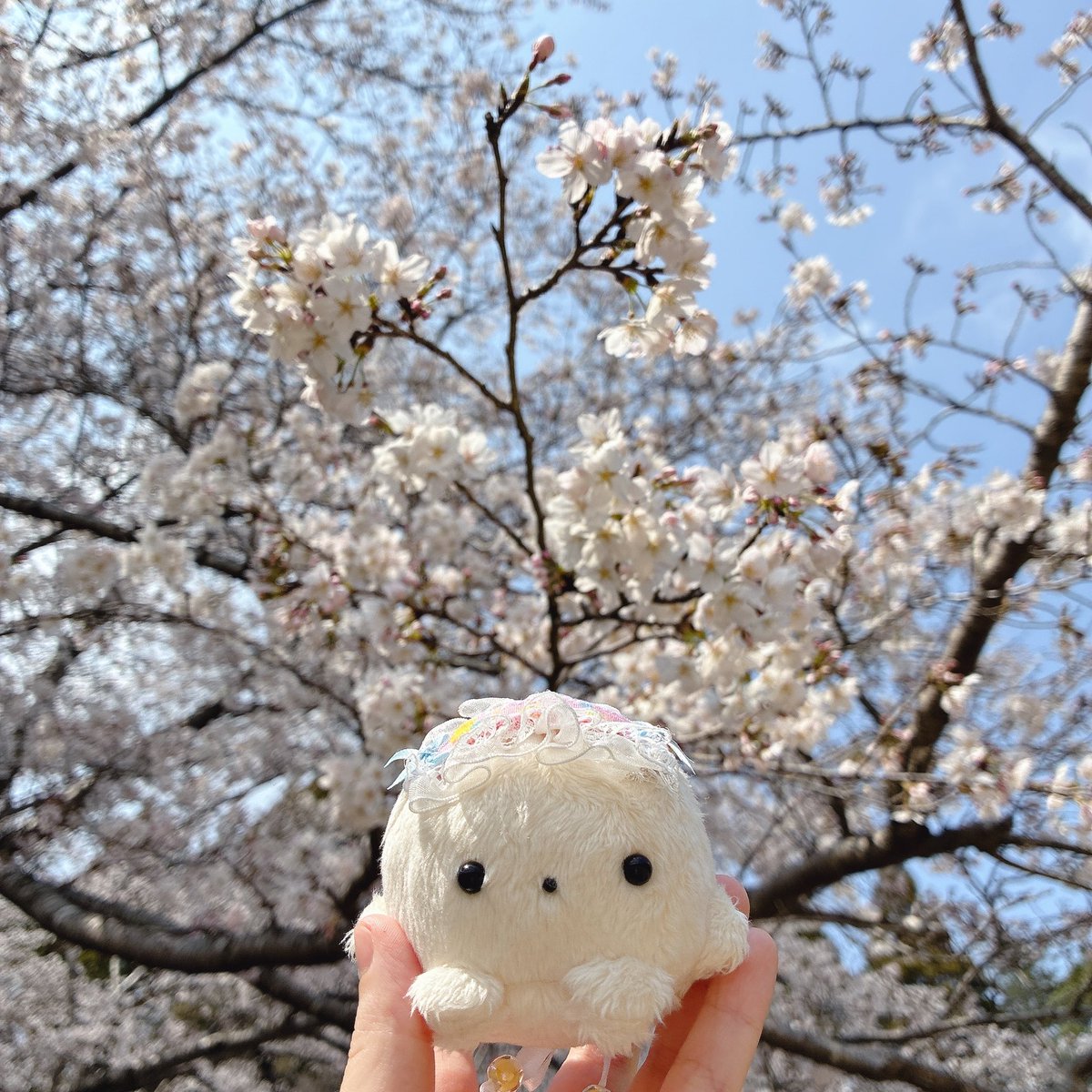 ちいも。 tweet media