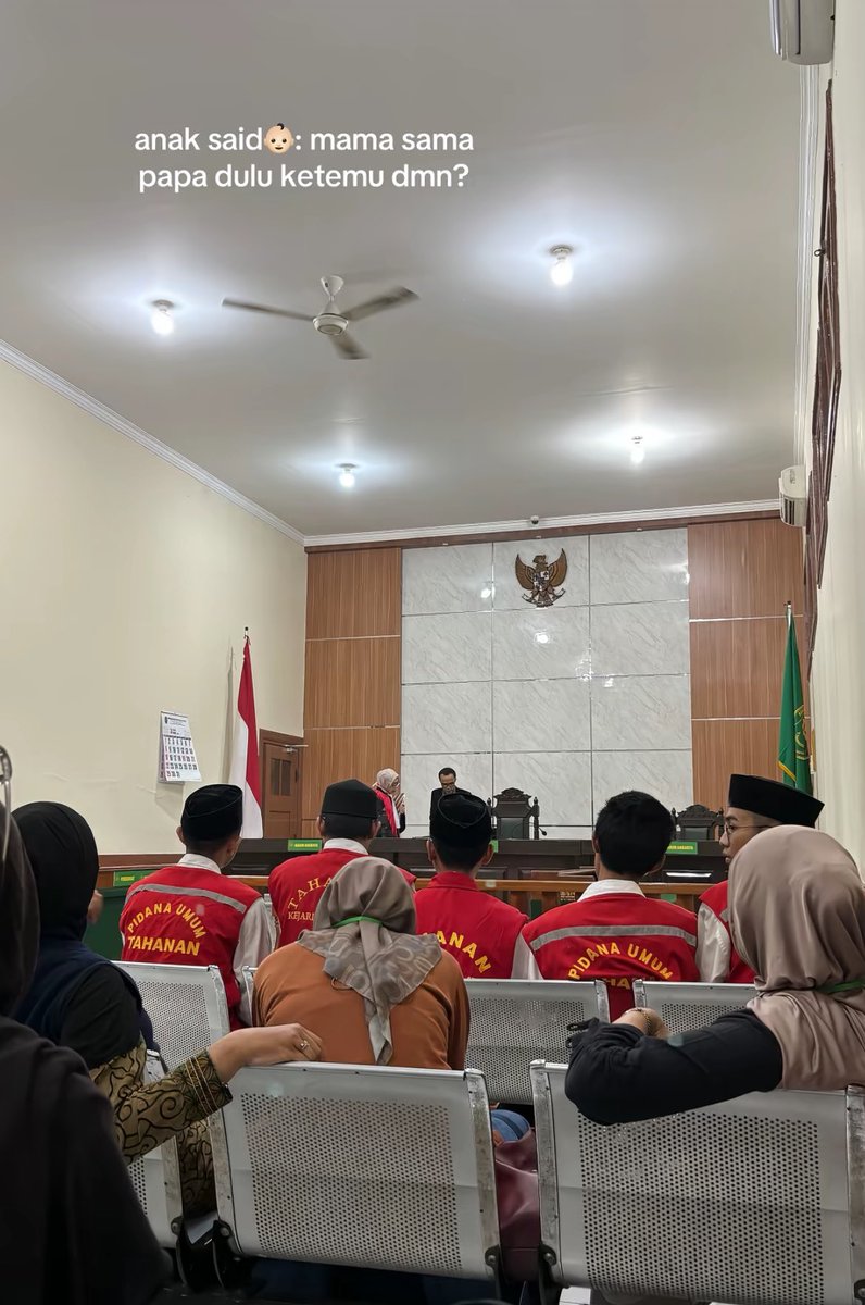 🌸💫 tweet media