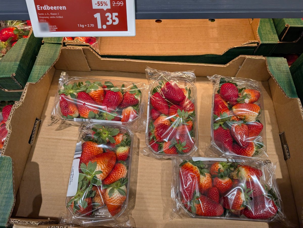 🍭Mario🐈 tweet media