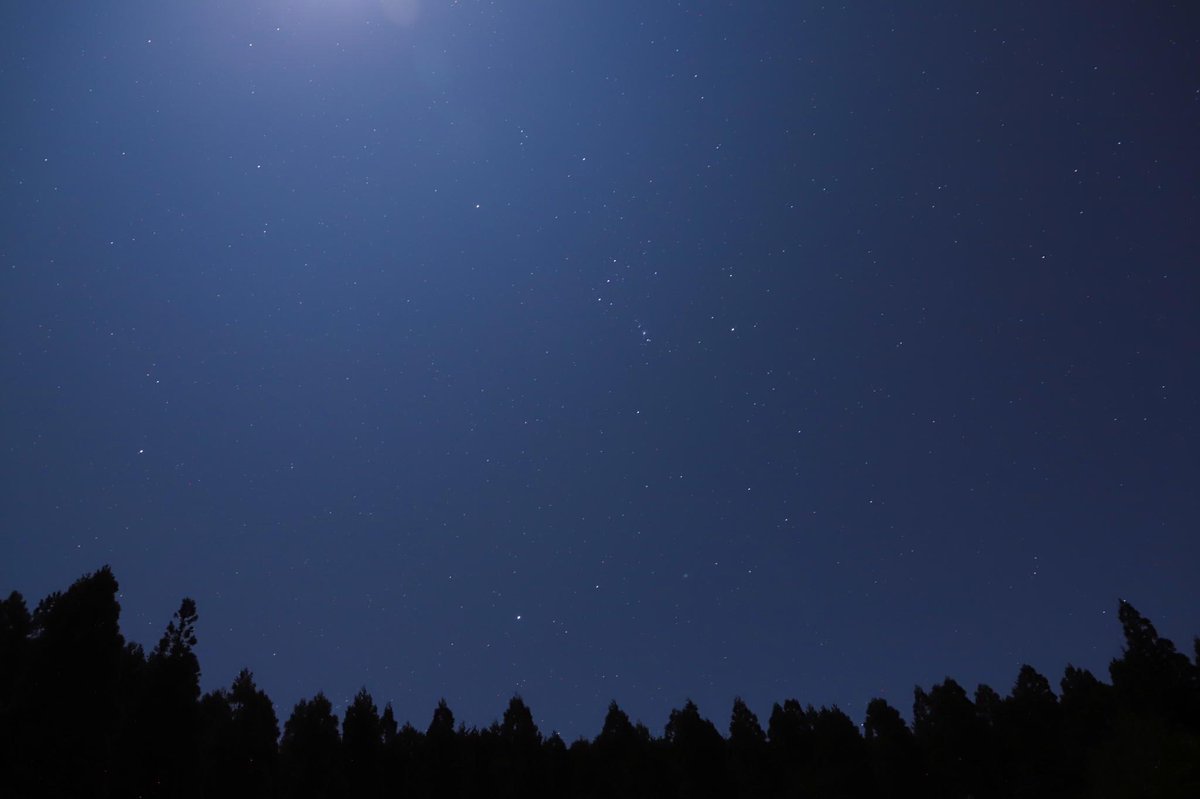 ライブドアニュース tweet media