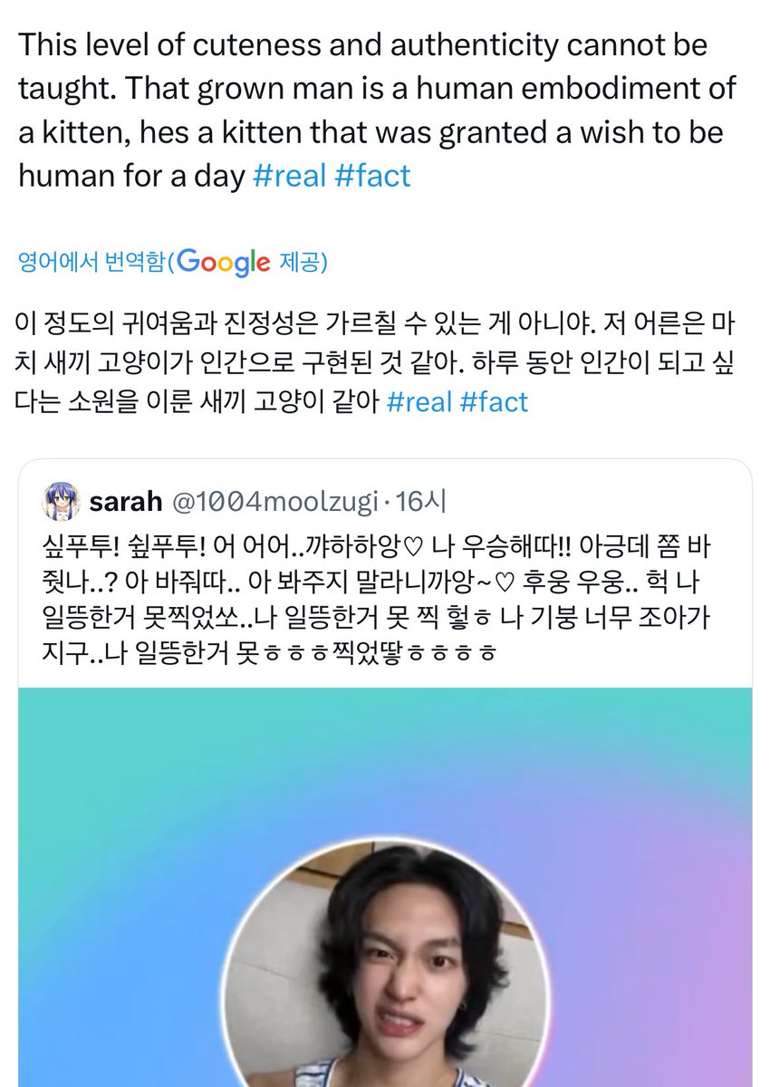 사라 tweet media