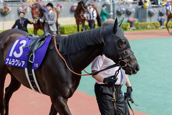 keibalab's tweet photo. 【紫の思い出】
ナムラクレア
通算成績(6.7.6.6)
重賞勝利
21年小倉2歳S
22年函館スプリントS
23年シルクロードS
23年キーンランドC
24年阪神カップ
#ナムラクレア #浜中俊 #高松宮記念 
https://t.co/NkW8Vf8EOQ https://t.co/ny8Fkl0rcR