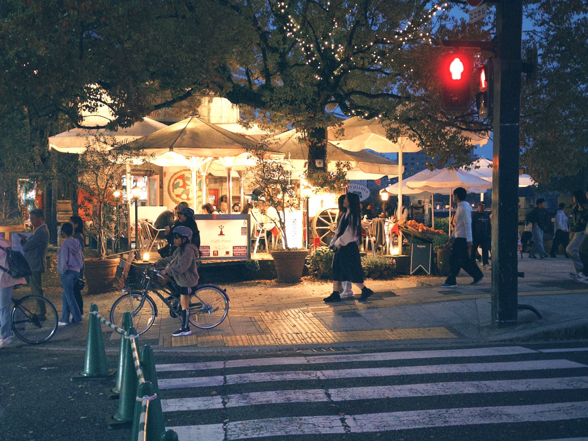 浅草不知秋~姚远 tweet media