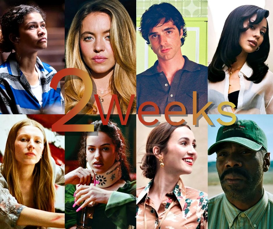 euphoria daily tweet media