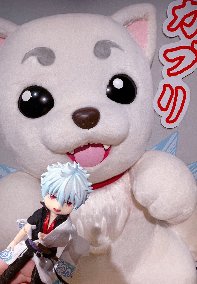 ありす🐈‍⬛ tweet media