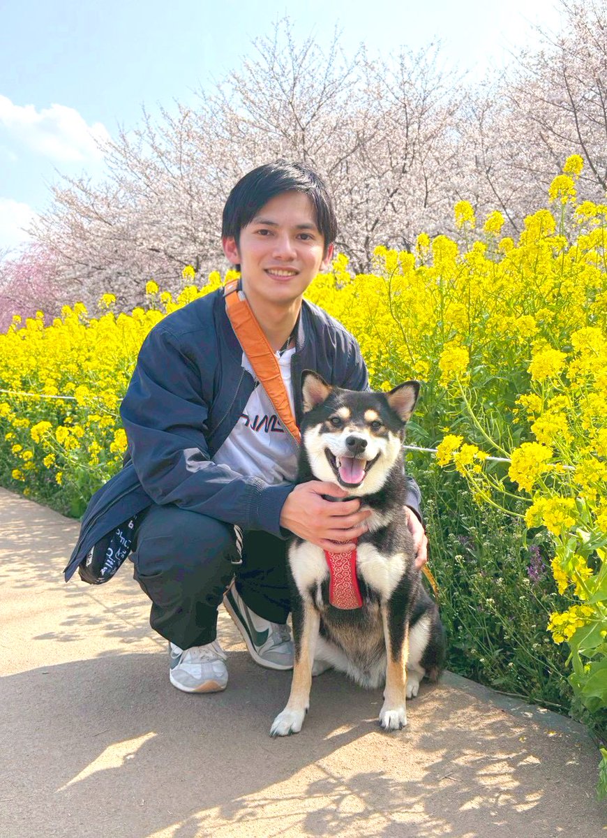 まさみち tweet media