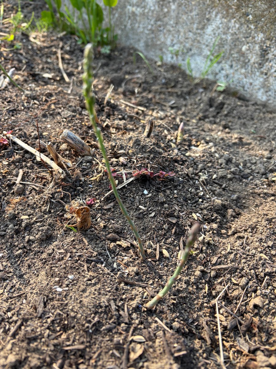 レイソル太郎 tweet media