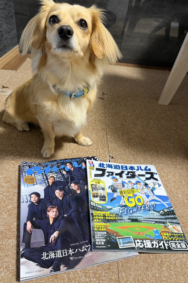 カーコン tweet media