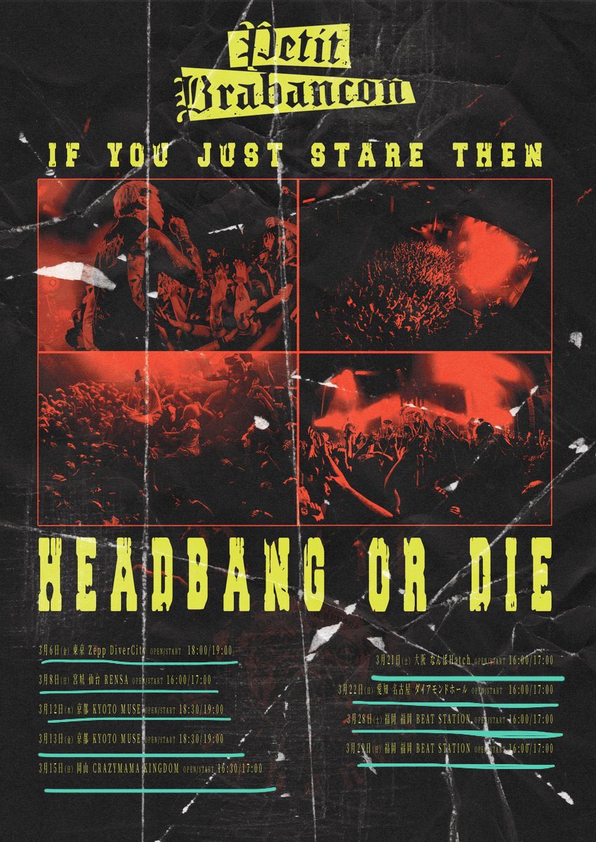 にゃん tweet media